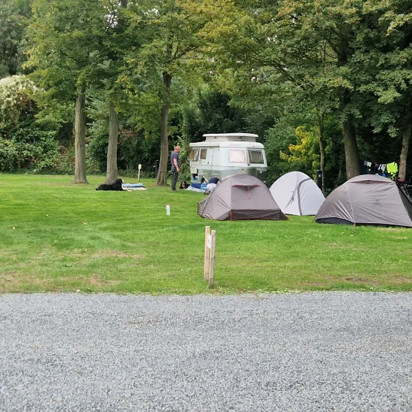 Comfortplaats Basis