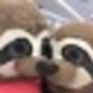 EdnJudy