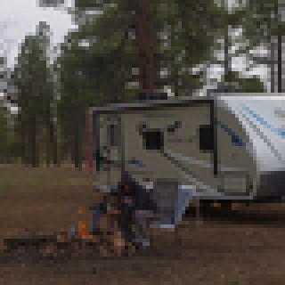 FreeRoader