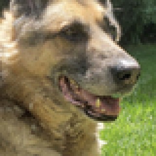Athos97