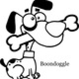 Boondoggle