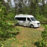 vtbirder