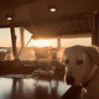 Anonym