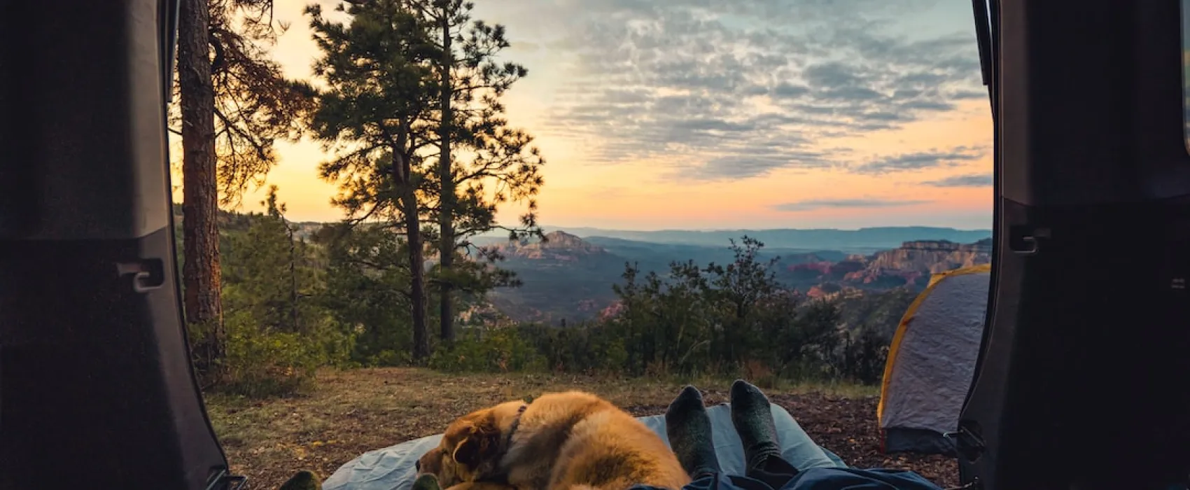 Camping with Dogs: Tips and Tricks for a Successful Trip