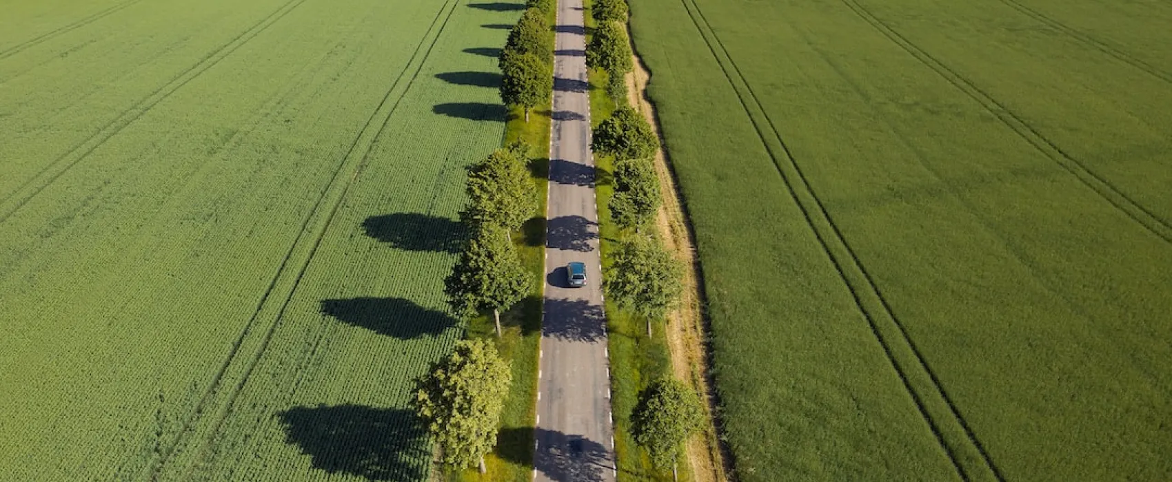 The Ultimate Camping Road Trip Through Sweden, Norway, and Denmark