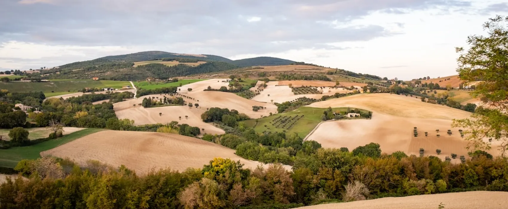 Things to do in Marche, Italy