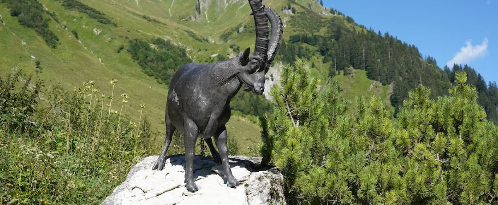 Choses à faire en Haute-Autriche