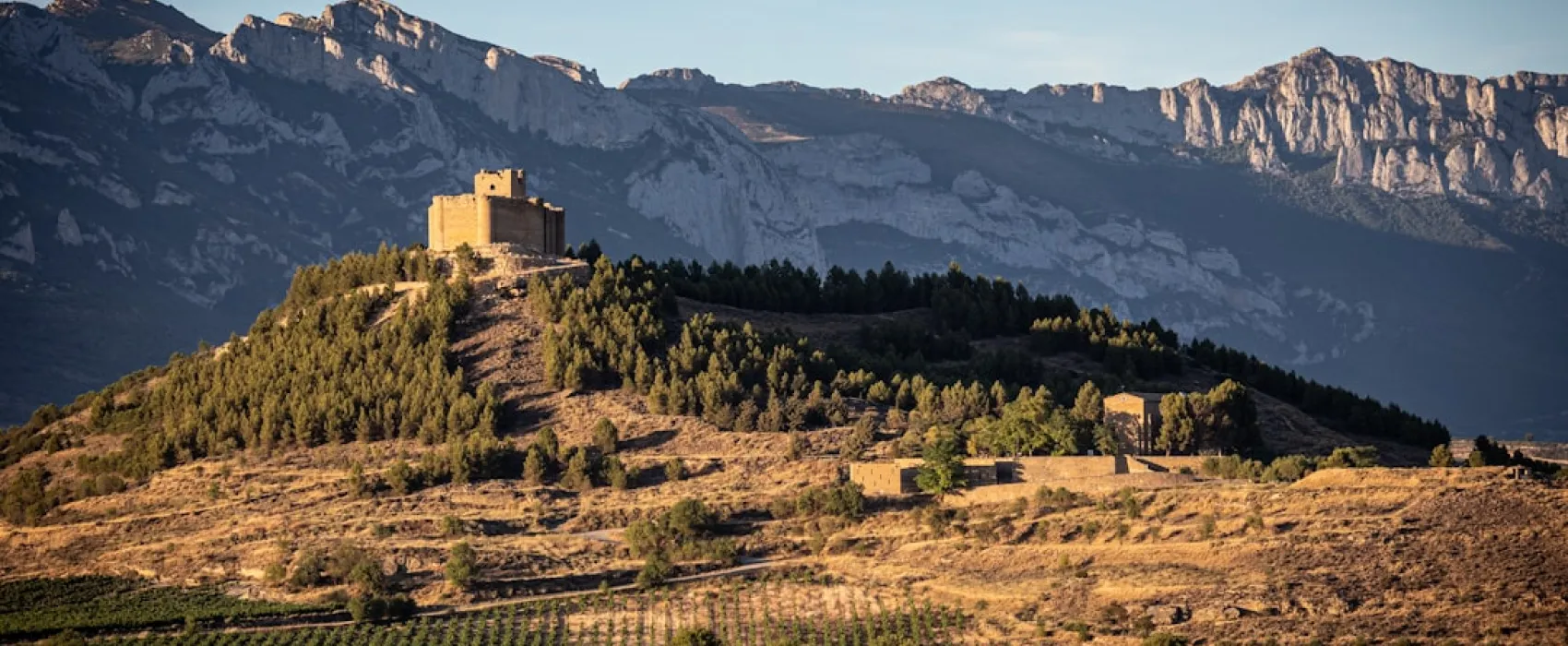 The best experiences in La Rioja, Spain