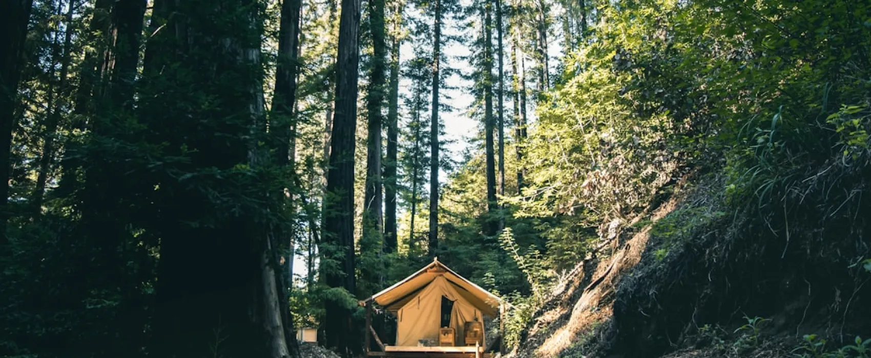L'essor du glamping : Tendances et destinations du camping de luxe en 2024