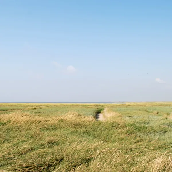What to do in Ribe, Denmark