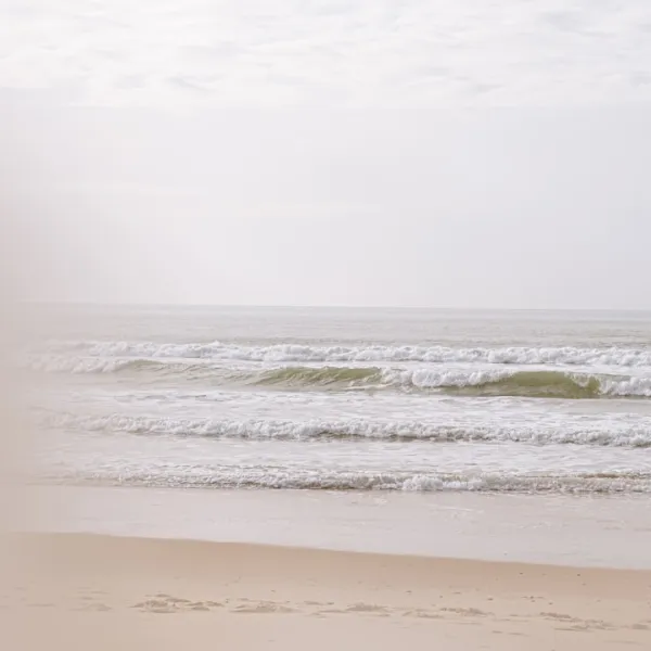 What to do in Aquitaine, France