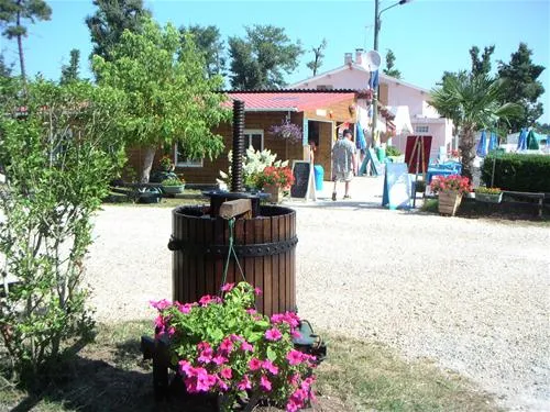 camping-les-pins-carcans-uir8j