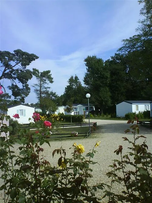 camping-les-pins-carcans-wpyf5