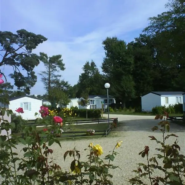 camping-les-pins-carcans-wpyf5