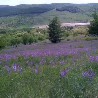 camping-la-tara-mucestidanulesti-spm5k