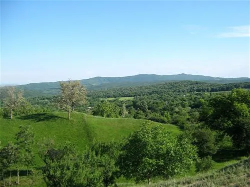camping-la-tara-mucestidanulesti-szgaw