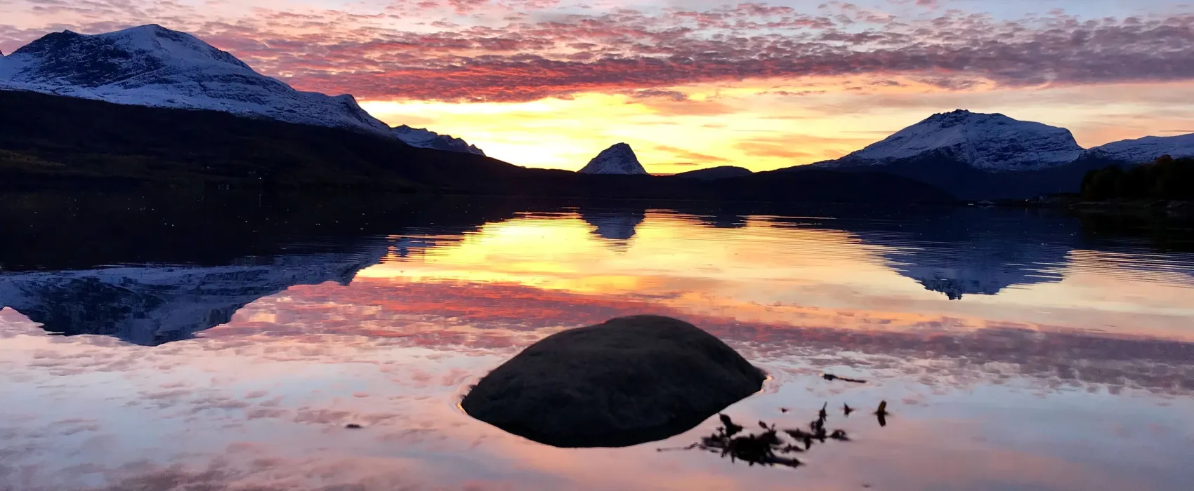 Elvelund Camping