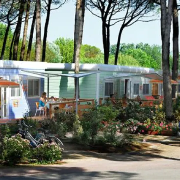 campeggio-mediterraneo-treportica-vio-xttw1