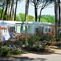 campeggio-mediterraneo-treportica-vio-xttw1