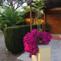 camping-la-albolafia-villafranca-de-crdoba-dvowb