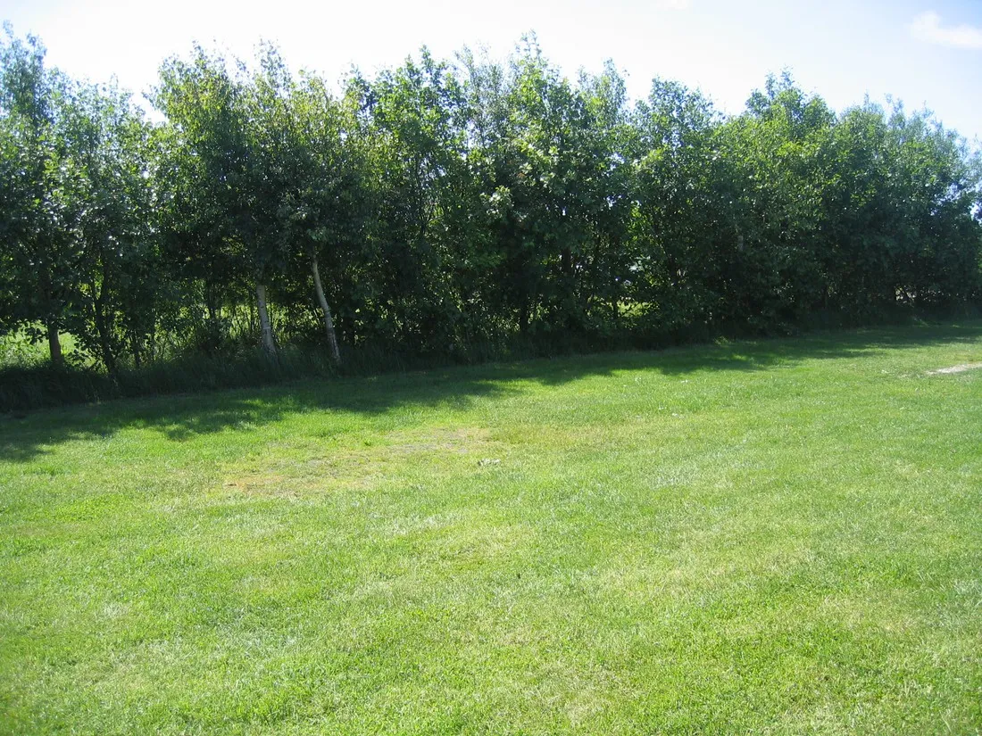 camping-anemoone-de-koog-mbwff