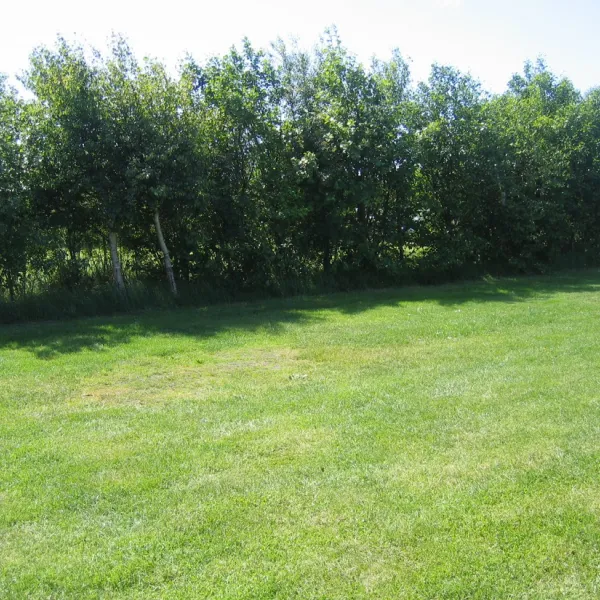 camping-anemoone-de-koog-mbwff