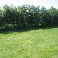 camping-anemoone-de-koog-mbwff