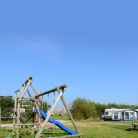 Camping Anemoone