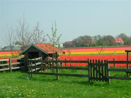 camping-sollasi-noordwijkerhout-smggg