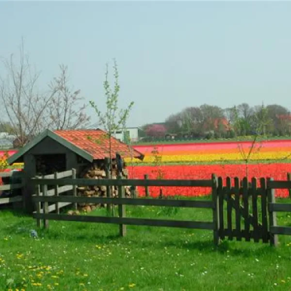 camping-sollasi-noordwijkerhout-smggg