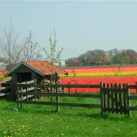 camping-sollasi-noordwijkerhout-smggg