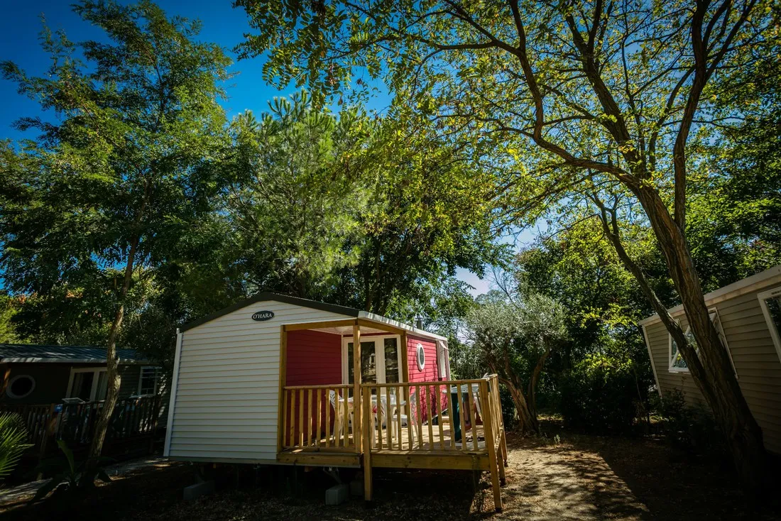 flower-camping-mas-de-mourgues-vauvert-iv2cj