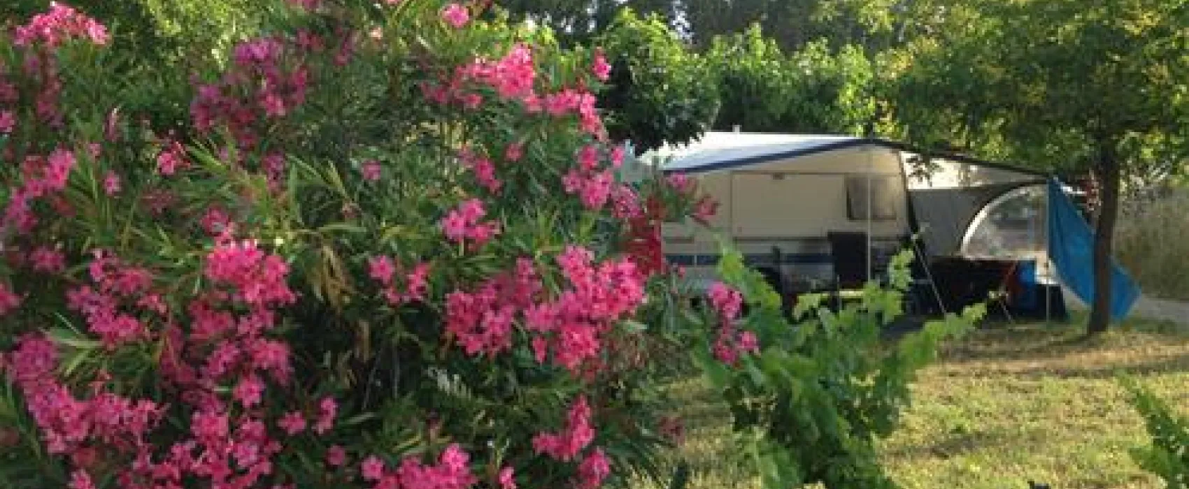 Flower Camping - Mas de Mourgues  