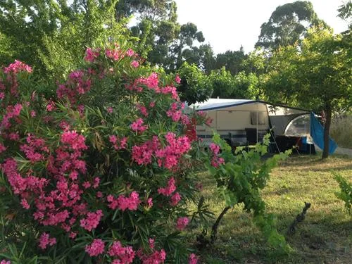 flower-camping-mas-de-mourgues-vauvert-lc6qo