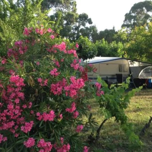 flower-camping-mas-de-mourgues-vauvert-lc6qo