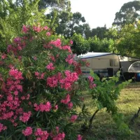 flower-camping-mas-de-mourgues-vauvert-lc6qo