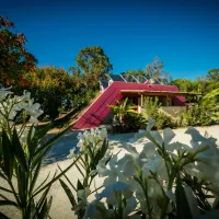 flower-camping-mas-de-mourgues-vauvert-zjfpb