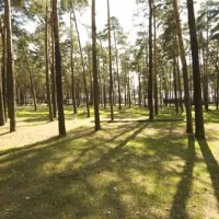 campingplatz-krossinsee-1930-gmbh-berlin-kghxs