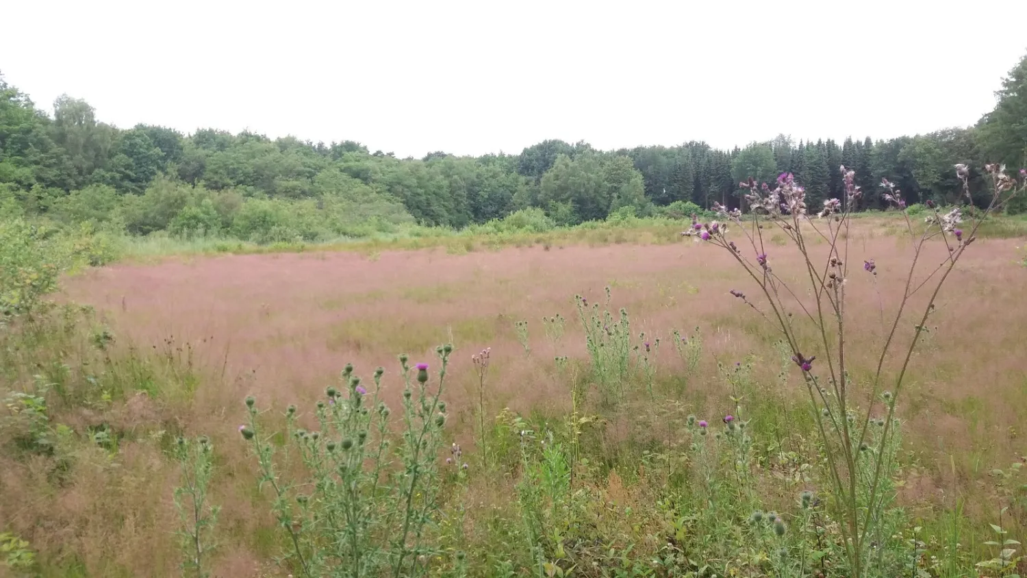 natuurkampeerterrein-de-meenthe-noordwolde-fr-mmyz4
