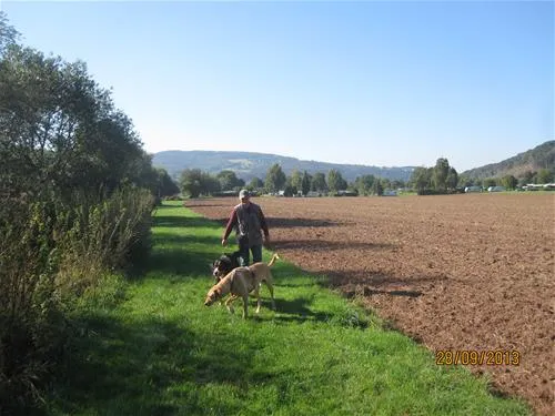camping-sonnenwiese-vlotho-dvsda