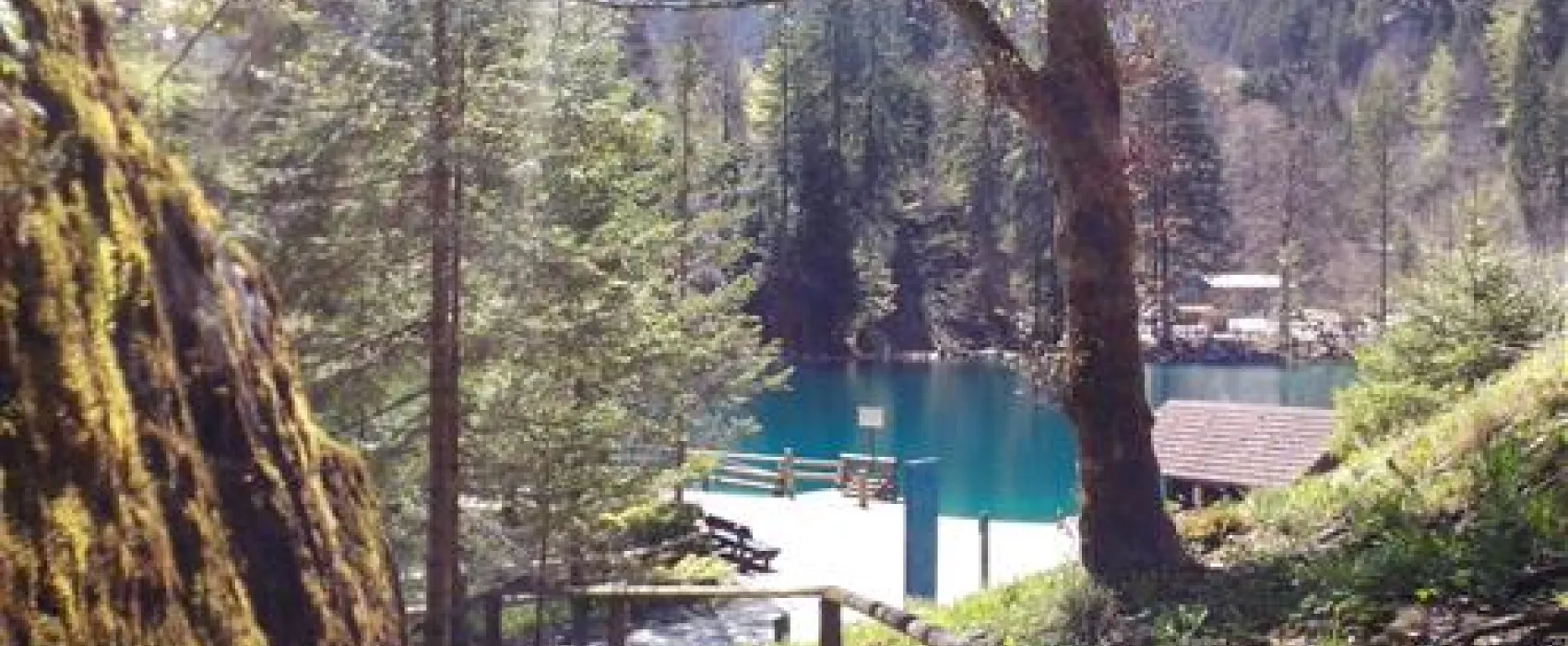 Camping Grassi