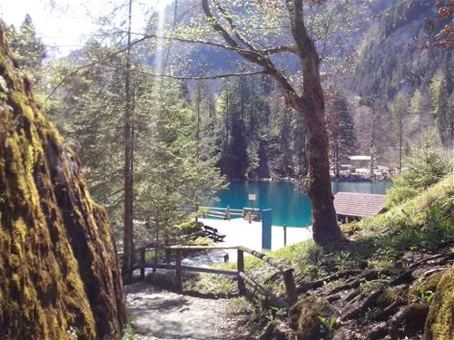 camping-grassi-frutigen-r7d7n