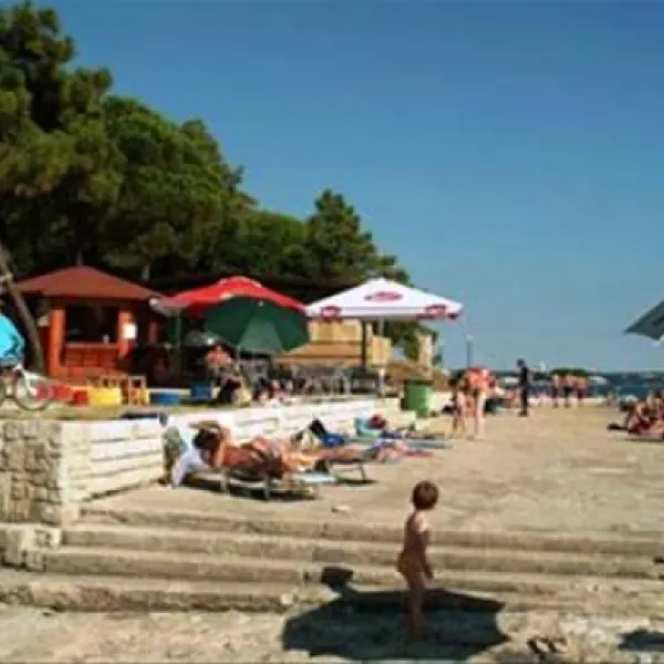 camping-kastanija-novigrad-ziywk