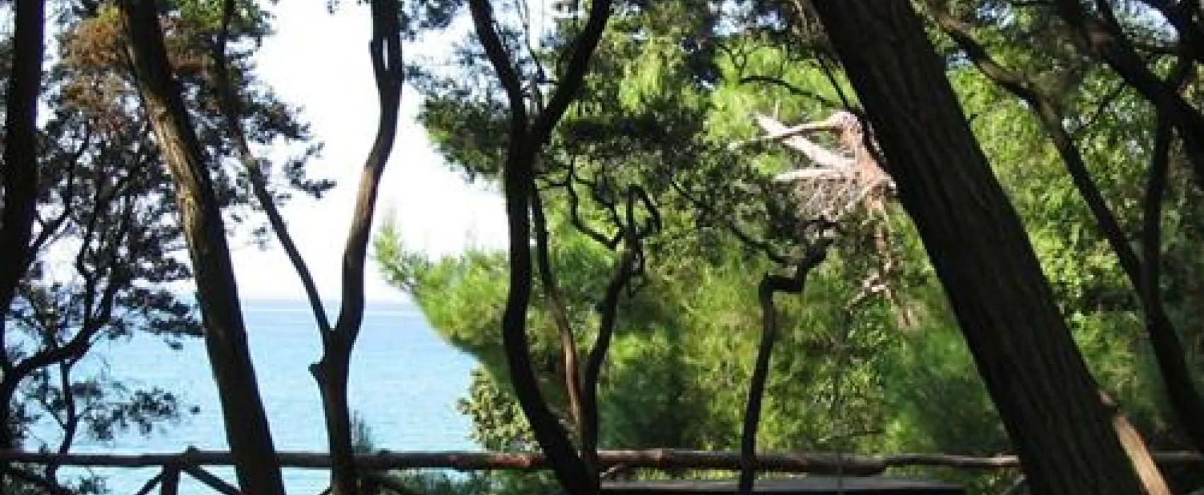 Camp Zidine