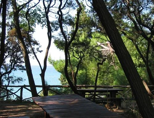 camp-zidine-rab-du5na