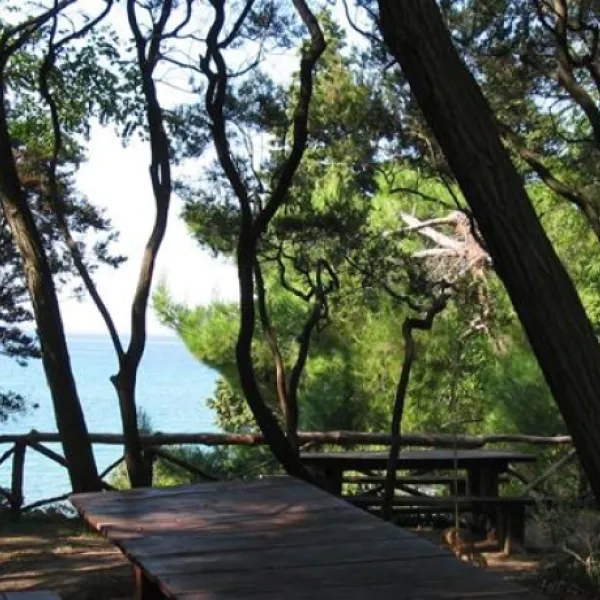 camp-zidine-rab-du5na