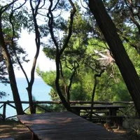 camp-zidine-rab-du5na