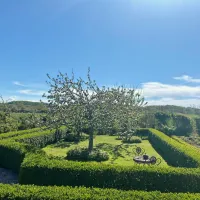 werendijke-zoutelande-diols