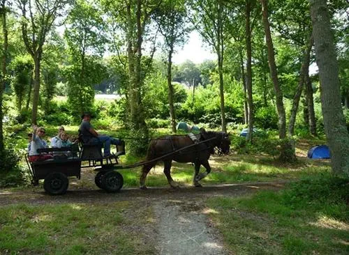 flower-camping-la-chenaie-yport-ctblr