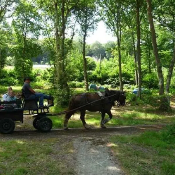flower-camping-la-chenaie-yport-ctblr